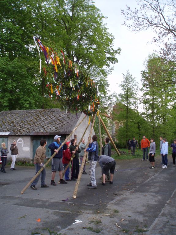 majka9